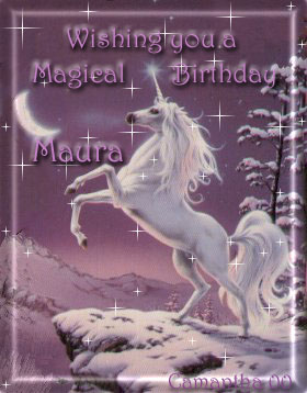 [Birthday Gift]